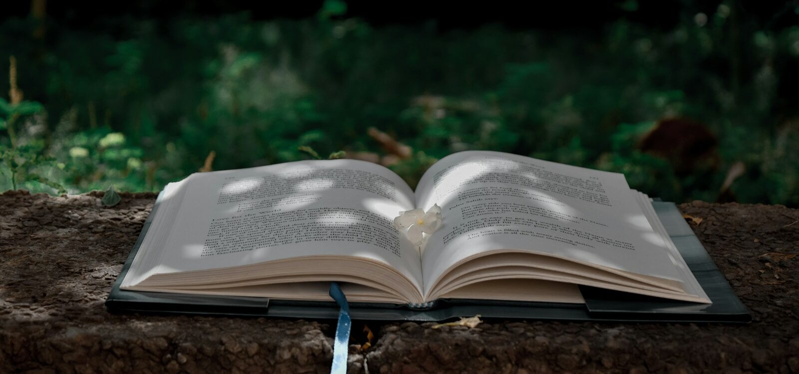 opened book on brown soil